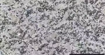 定西 芙蓉白（芝麻白大花）火烧面