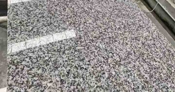 定西 芙蓉白光面