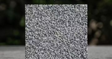 定西 芝麻黑荔枝面