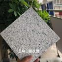 定西 芝麻白荔枝面干挂
