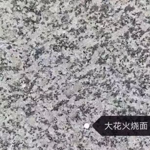 定西 芙蓉白（芝麻白大花）火烧面