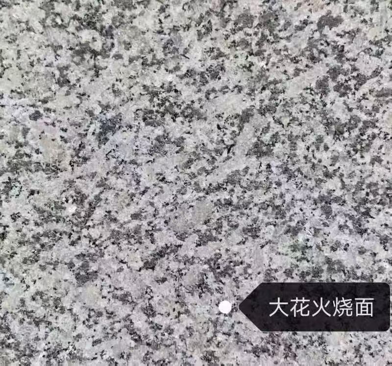 定西 芙蓉白（芝麻白大花）火烧面