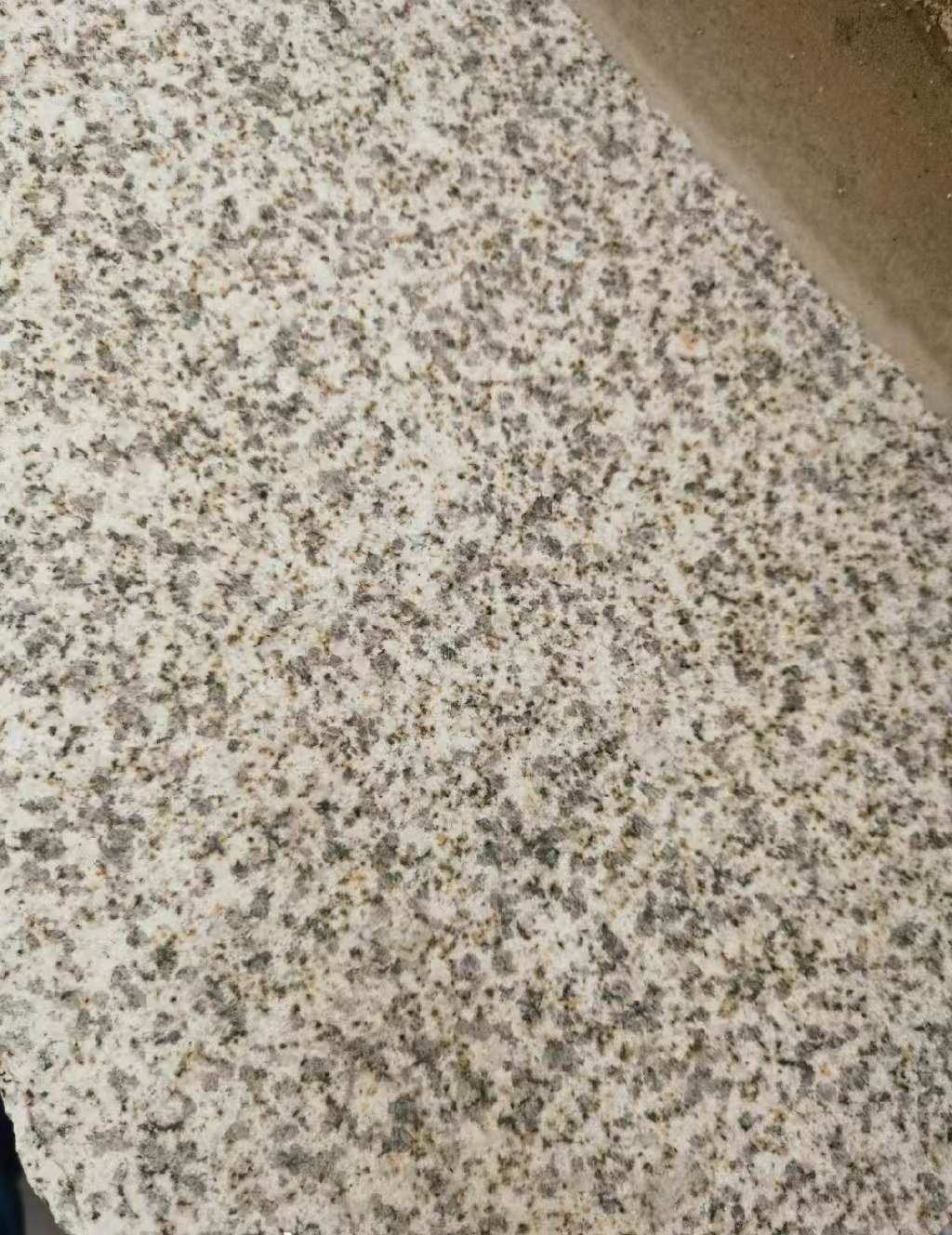 定西 黄金麻中黄光面