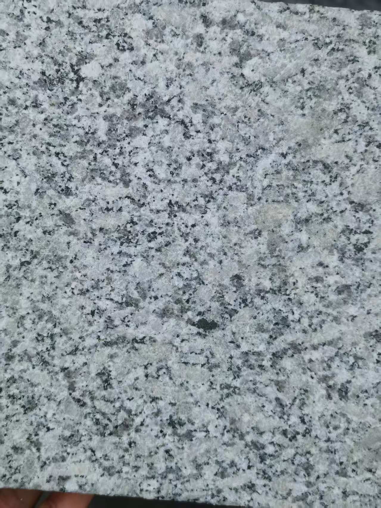 定西 芙蓉白火烧面