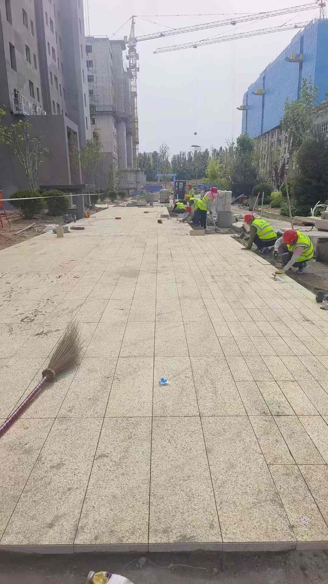定西黄金麻荔枝面地铺案例