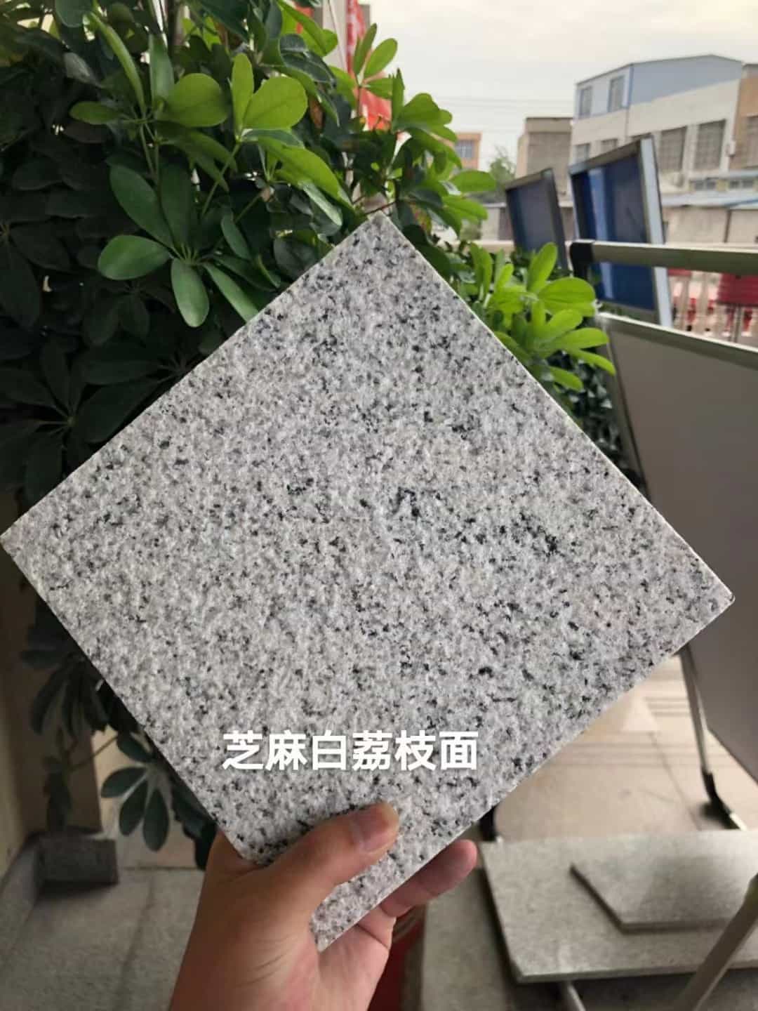 定西 芝麻白荔枝面干挂