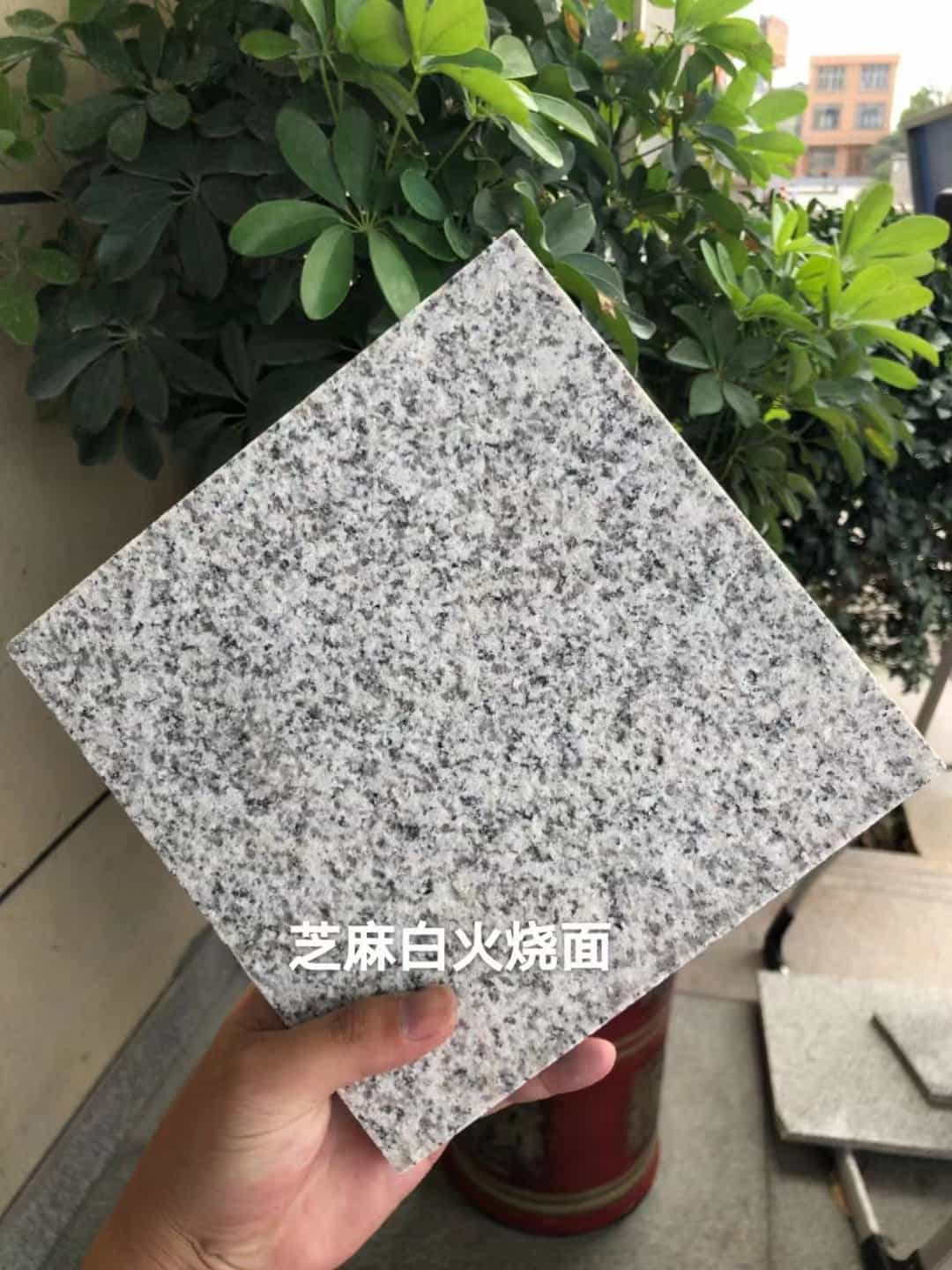 定西芝麻白火烧面地铺