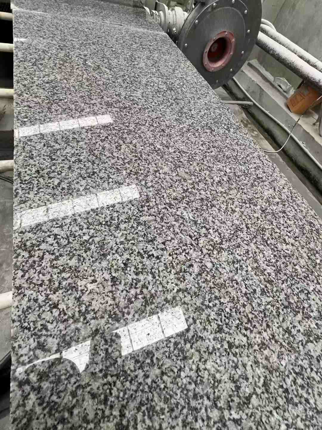 定西 芙蓉白光面